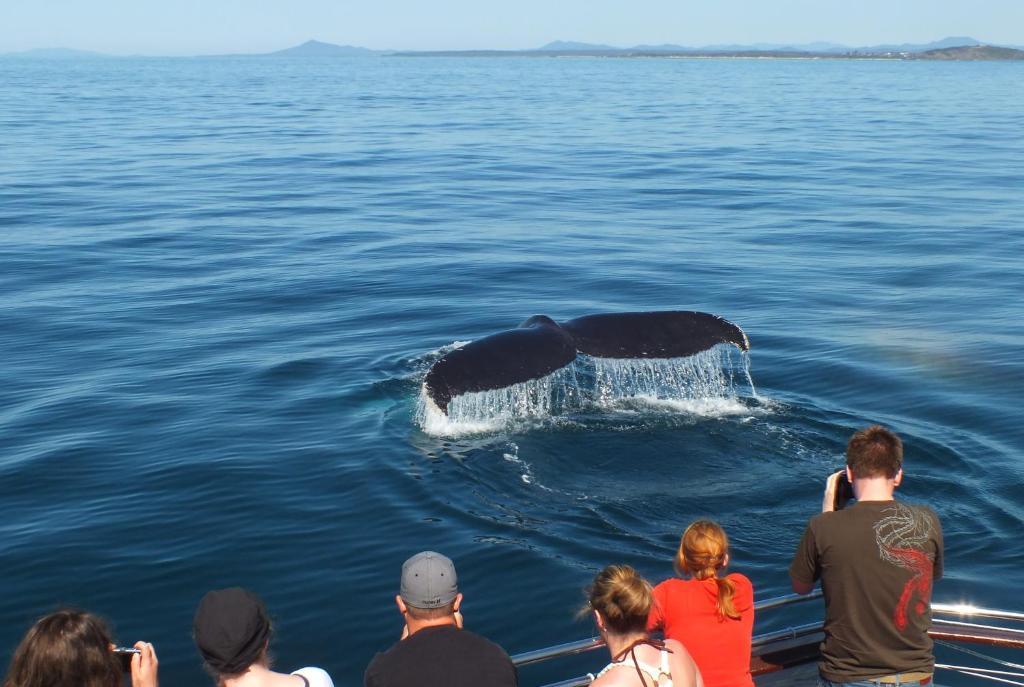 Pacific Marina Apartments Coffs Harbour Zewnętrze zdjęcie